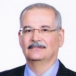 Et si l’on substitue un projet impératif au mandat représentatif ?