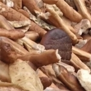 Tunisie - Dilapidation de produits alimentaires : interdiction totale