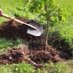 Pour surmonter les crises, cultivons notre jardin