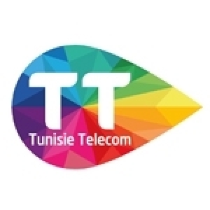 Tunisie Télécom: Des travaux de maintenance sont en cours de réalisation au niveau du câble sous-marin international SEA ME WE 4