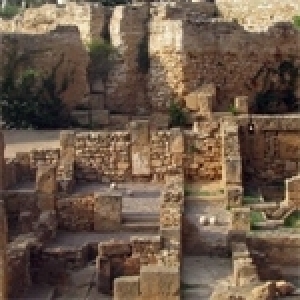 Carthage, patrimoine culturel … en détresse