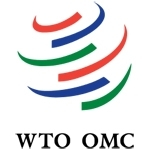 Les défis majeurs du système commercial multilatéral actuel et les moyens susceptibles de les relever