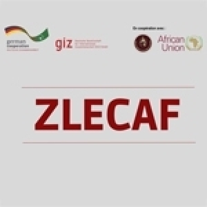 Accords commerciaux avec l’Afrique, focus sur ZLECAf - Une nouvelle ère pour l’Afrique et la Tunisie: Une nouvelle ère économique voit le jour 
