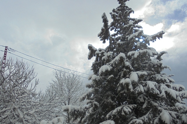 L’hiver s’installe : Pluie et grand froid sur plusieurs régions