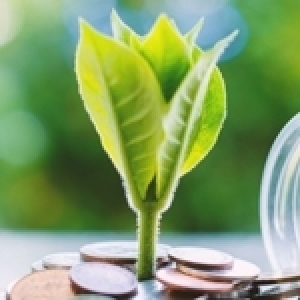 Tunisie: La loi de finances 2022, donne-t-elle le «la» à l’économie verte?