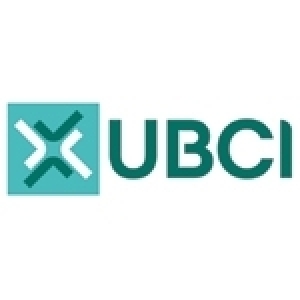 Mohamed Koubaa, DG de l