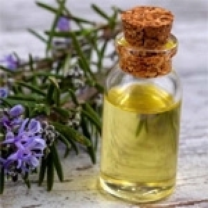 L’huile de romarin en Tunisie