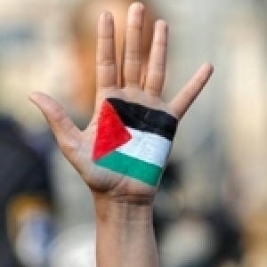 Amnesty international met a nu l’apartheid israélien a l’encontre des palestiniens