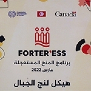 Organisation Internationale du Travail: Subventions d’urgence au profit de 22 organisations féminines de l’économie sociale et solidaire partenaires du projet FORTER’ESS