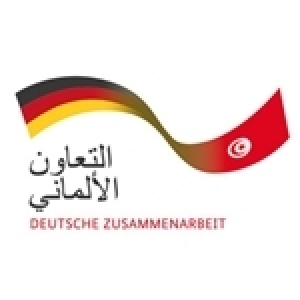 L’Allemagne partenaire de premier ordre pour la transition énergétique en Tunisie