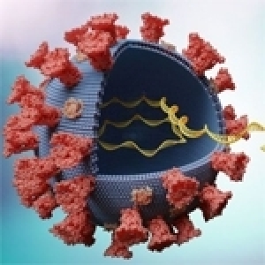 Le corona virus est-il une arme biologique spécifique