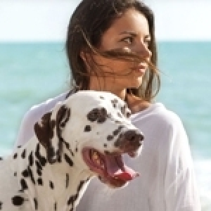 Notre chien, un réservoir inépuisable d’amour et de bonheur