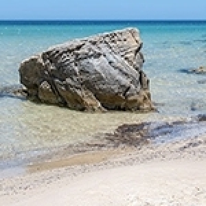 Ridha Bergaoui: Prenons soin de notre Tunisie