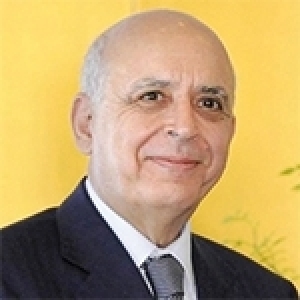 Mohamed Ghannouchi décoré par le Japon du Grand Cordon de l