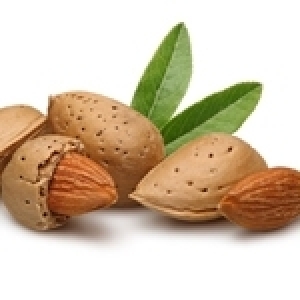 Le Festival de l’Amandier débute ce vendredi à Sfax