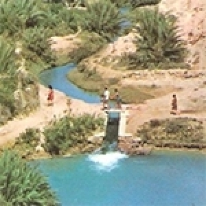 Gabès, paradis gangréné par la pollution et l’incurie politique