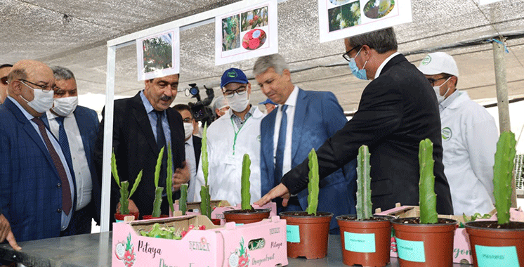 Lancement-de-projets-agricoles-et-d’irrigation-et-de-Sécurisation-de-l’eau-potable-dans-les-provinces-de-Berkane-et-Nador