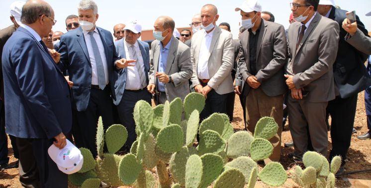 Mohamed Sadiki lance des projets de développement agricole à El Jadida 2