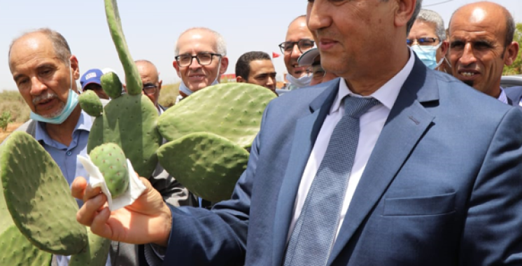 Mohamed Sadiki lance des projets de développement agricole à El Jadida 3