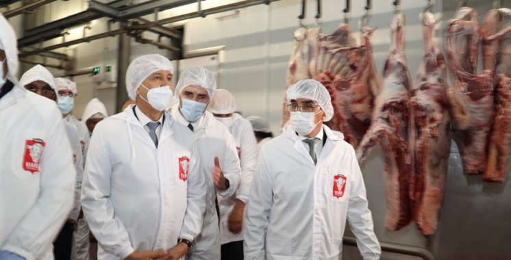 Mohamed Sadiki lance des projets de développement agricole à El Jadida 6