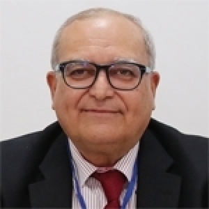 Rafâa Ben Achour - Les dispositions transitoires : Entre la certitude de la ratification populaire et la perpétuation de l’état d’exception