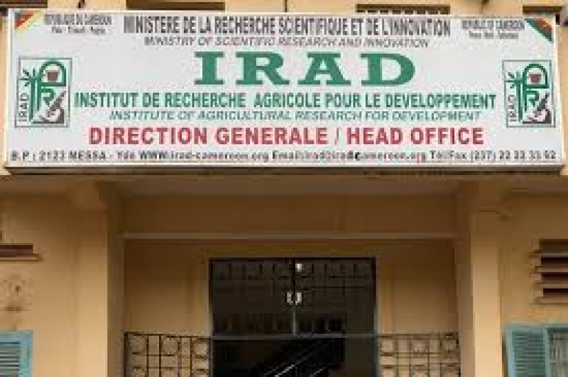 Paul Biya nomme le nouveau Conseil d’administration de l’Irad