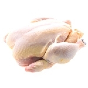 Tunisie: Hausse des prix des produits avicoles et lutte contre la spéculation