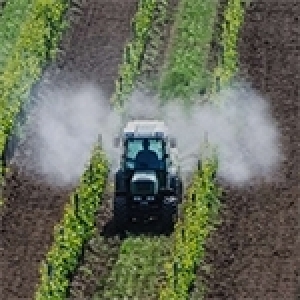 Tunisie: N’est-il pas temps de faire la paix avec notre agriculture ?