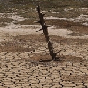 Tunisie : Face à la sécheresse, soyons pragmatiques et proactifs