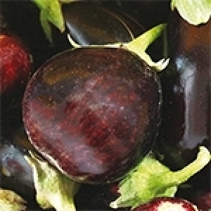 Les multiples bienfaits de l’aubergine