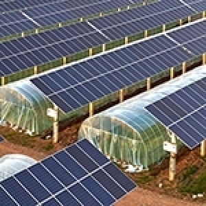 L’agrivoltaïque, un concept innovant au service de l’agriculture et de l’environnement