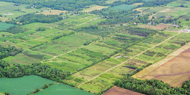 "Génération Green": décryptage du plan d'action 2023