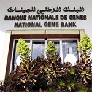 Banque nationale des gènes: Notre stratégie face aux changements climatiques dans le cadre de la transition écologique