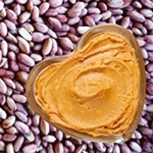 La récolte des arachides (cacahuètes)