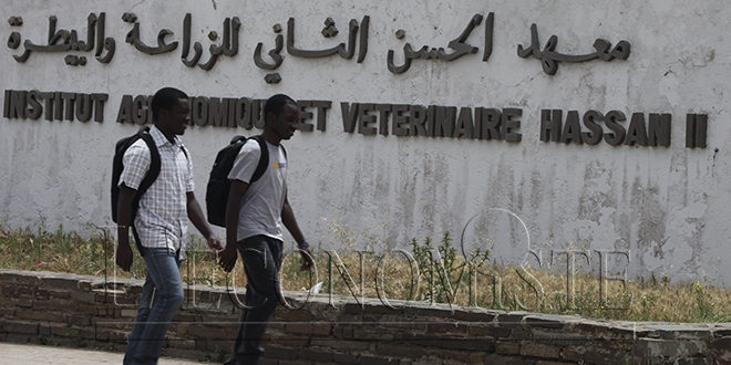 IAV Hassan II: signature de 5 conventions de partenariat