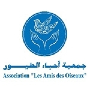 Un autre printemps noir pour les oiseaux au Cap Bon : chaque année plus de 50 000 oiseaux périssent dans des filets de chasse