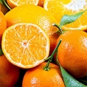 Les pesticides, frein a l’exportation de nos agrumes ?