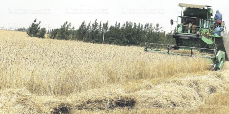 Microsoft et OCP Afrique s'allient pour la sécurité alimentaire