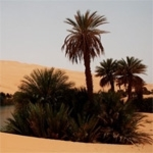Tunisie: Agriculture saharienne et eaux souterraines