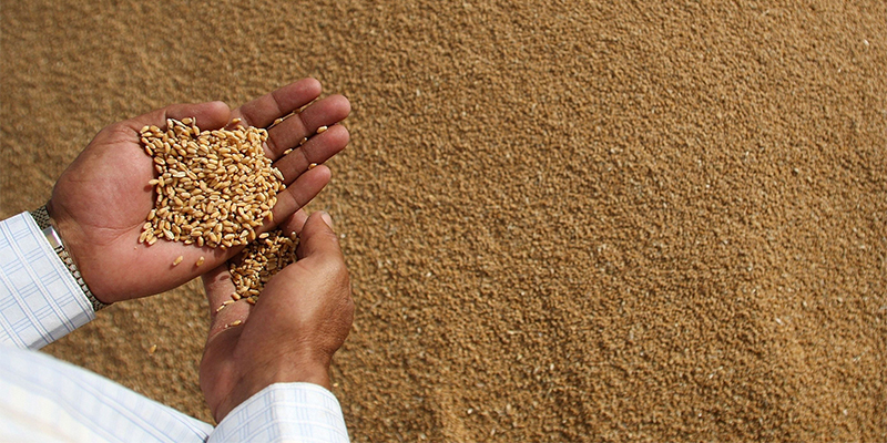 Le montant de Zakat Al Fitr fixé