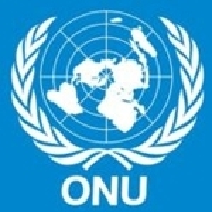 L’ONU : Réforme indispensable ou réforme impossible ? Un ouvrage collectif qui servira de référence