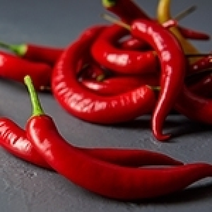 Nabeul célèbre la harissa dans toutes ses vertus