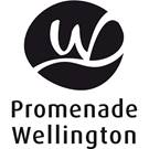 https://www.solutions-emailing.com/image/26572Company/logopromenadewellington_noir.jpg