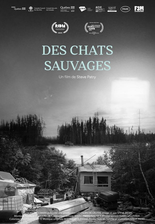 DES CHATS SAUVAGES de Steve Patry maintenant disponible sur F3M+